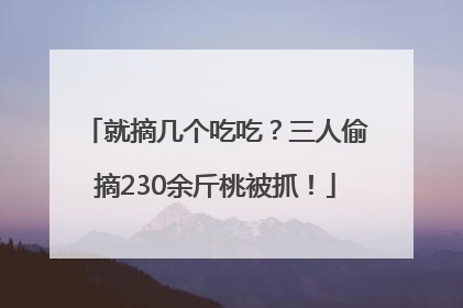就摘几个吃吃？三人偷摘230余斤桃被抓！
