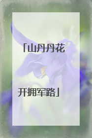 山丹丹花开拥军路