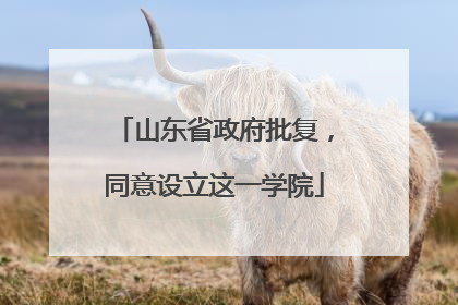 山东省政府批复，同意设立这一学院