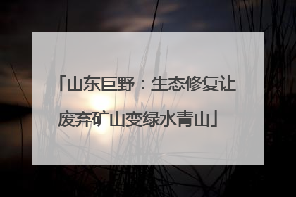 山东巨野：生态修复让废弃矿山变绿水青山
