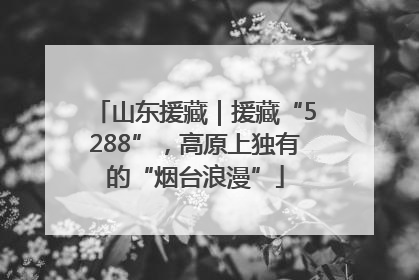 山东援藏｜援藏“5288”，高原上独有的“烟台浪漫”