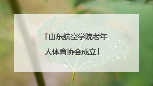 山东航空学院老年人体育协会成立