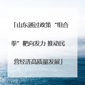 山东通过政策“组合拳”靶向发力 推动民营经济高质量发展