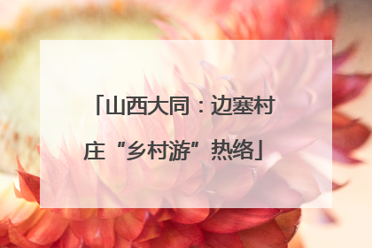 山西大同：边塞村庄“乡村游”热络