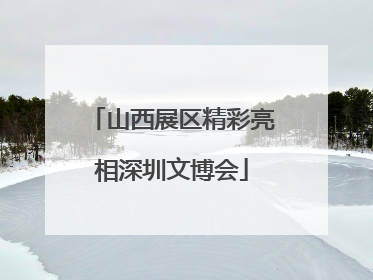 山西展区精彩亮相深圳文博会