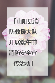 山阳县消防救援大队开展端午前消防安全宣传活动
