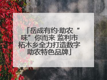 岳成有约·助农“味”你而来 监利市柘木乡全力打造数字助农特色品牌