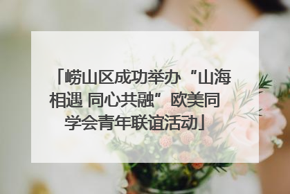 崂山区成功举办“山海相遇 同心共融”欧美同学会青年联谊活动