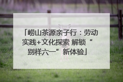 崂山茶源亲子行：劳动实践+文化探索 解锁“别样六一”新体验