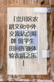 崇川区农耕文化中外交流站点揭牌 留学生田间挥镰体验农耕之乐