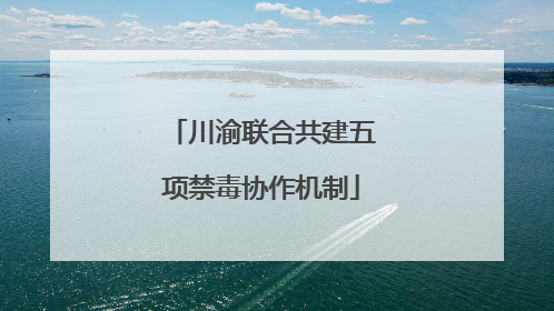 川渝联合共建五项禁毒协作机制