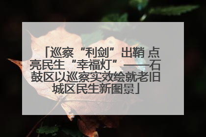 巡察“利剑”出鞘 点亮民生“幸福灯”——石鼓区以巡察实效绘就老旧城区民生新图景
