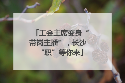 工会主席变身“带岗主播”，长沙“职”等你来