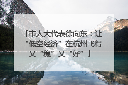 市人大代表徐向东：让“低空经济”在杭州飞得又“稳”又“好”