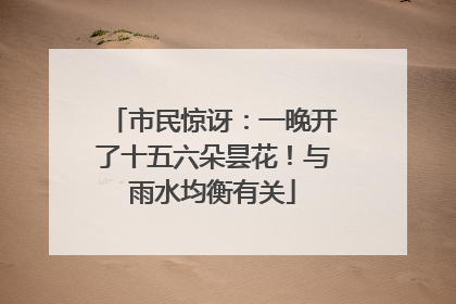 市民惊讶：一晚开了十五六朵昙花！与雨水均衡有关