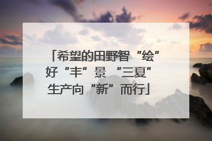 希望的田野智“绘”好“丰”景 “三夏”生产向“新”而行
