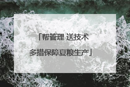 帮管理 送技术 多措保障夏粮生产