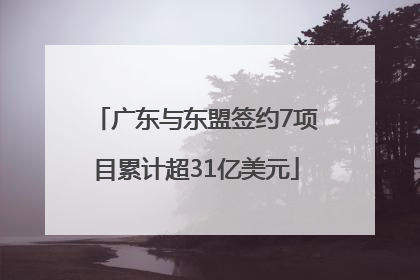广东与东盟签约7项目累计超31亿美元