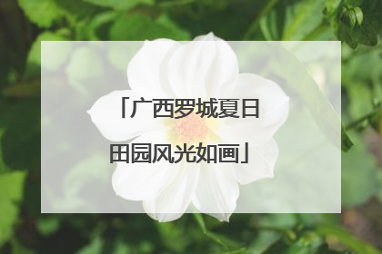广西罗城夏日田园风光如画