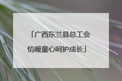 广西东兰县总工会情暖童心呵护成长