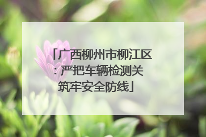 广西柳州市柳江区：严把车辆检测关 筑牢安全防线