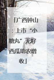 广西钟山：上市“小糖丸”无籽西瓜助农增收