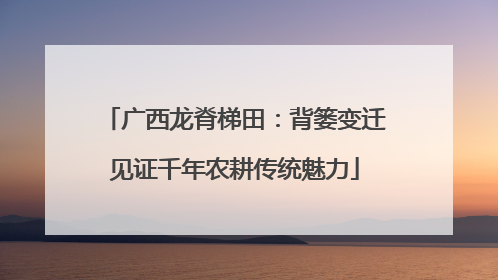 广西龙脊梯田：背篓变迁见证千年农耕传统魅力