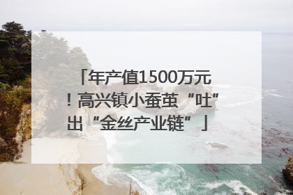 年产值1500万元！高兴镇小蚕茧“吐”出“金丝产业链”