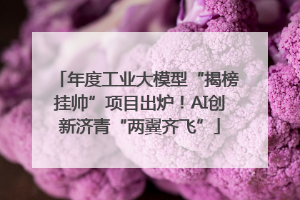 年度工业大模型“揭榜挂帅”项目出炉！AI创新济青“两翼齐飞”