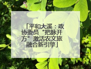 平和大溪：政协委员“把脉开方”激活农文旅融合新引擎