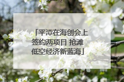平潭在海创会上签约两项目 抢滩低空经济新蓝海