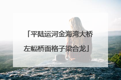 平陆运河金海湾大桥左幅桥面格子梁合龙