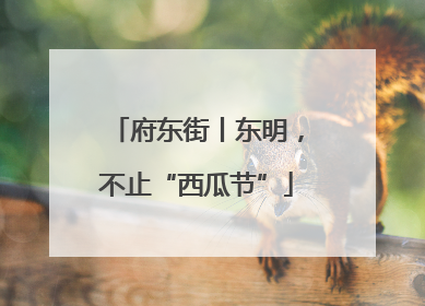 府东街丨东明，不止“西瓜节”
