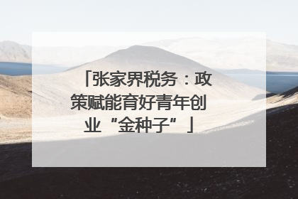 张家界税务：政策赋能育好青年创业“金种子”