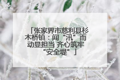 张家界市慈利县杉木桥镇：闻“汛”而动显担当 齐心筑牢“安全堤”