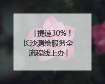 提速30%！长沙测绘服务全流程线上办