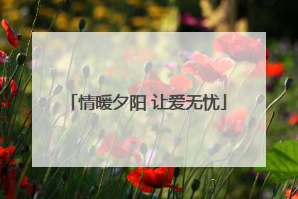 情暖夕阳 让爱无忧