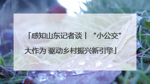 感知山东记者谈丨“小公交”大作为 驱动乡村振兴新引擎