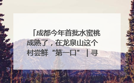 成都今年首批水蜜桃成熟了，在龙泉山这个村尝鲜“第一口”｜寻找和美乡村推荐官