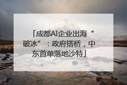 成都AI企业出海“破冰”：政府搭桥，中东首单落地沙特