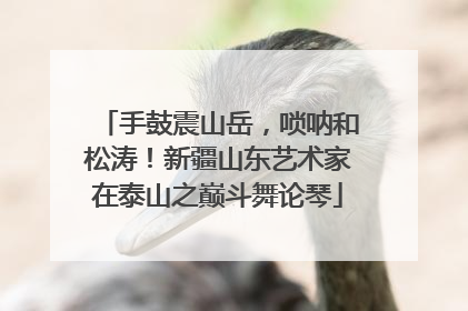手鼓震山岳，唢呐和松涛！新疆山东艺术家在泰山之巅斗舞论琴