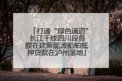 打通“绿色通道” 长江干线四川段首艘在建新能源船舶抵押贷款在泸州落地