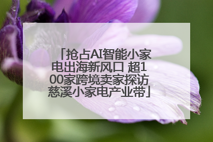 抢占AI智能小家电出海新风口 超100家跨境卖家探访慈溪小家电产业带