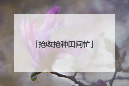 抢收抢种田间忙