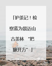 护茶记！检察蓝为景迈山古茶林 “把脉开方”