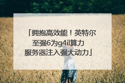 拥抱高效能！英特尔至强6为g4il算力服务器注入强大动力
