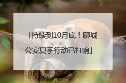 持续到10月底！聊城公安夏季行动已打响