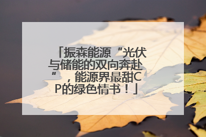 振森能源“光伏与储能的双向奔赴”，能源界最甜CP的绿色情书！