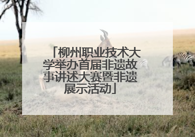 柳州职业技术大学举办首届非遗故事讲述大赛暨非遗展示活动