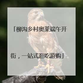 柳沟乡村奥莱端午开街，一站式逛吃游购